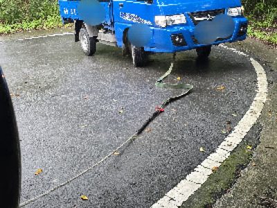山區陷車輪胎打滑拖吊